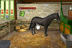 Paard & Pony: Paard in Galop screenshot 3 for GameBoy Advance